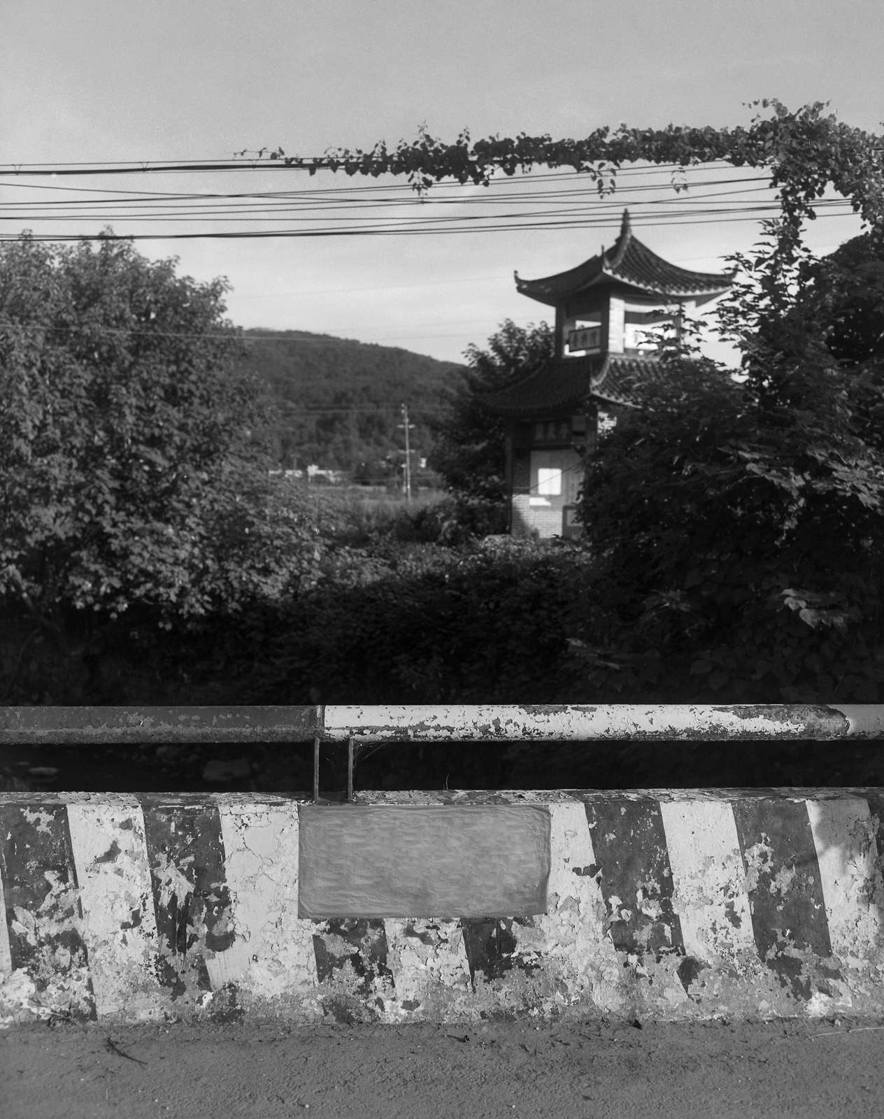 忽视的景观 image 30